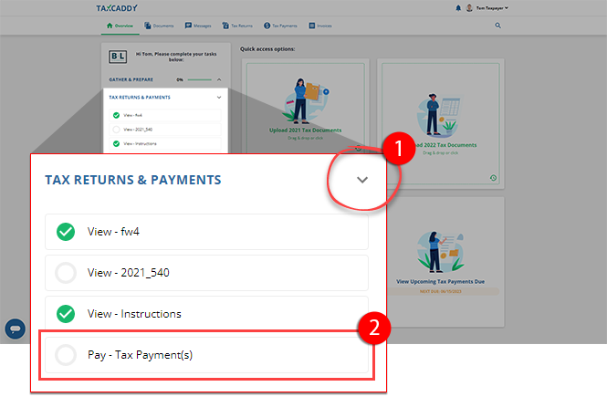 Pay_Tax_Payments.png