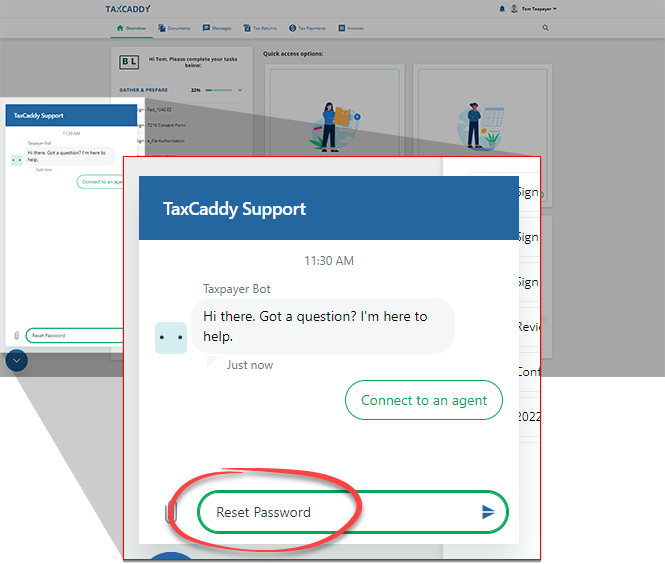 TaxCaddy_Support_-_Reset_Password_v2.png