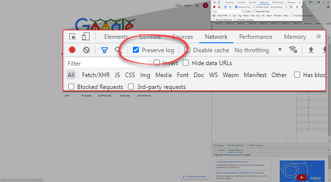 Chrome_-_Preserve_Log.png