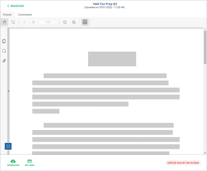 Invoice_-_Document_Viewer.png