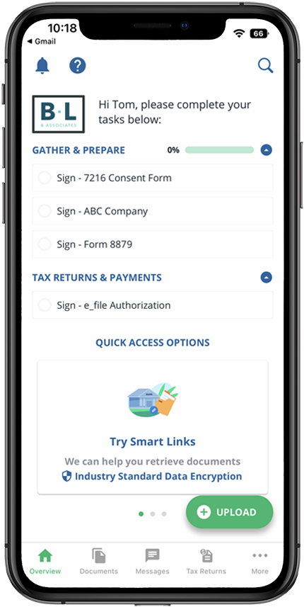 View of the Overview screen for iOS