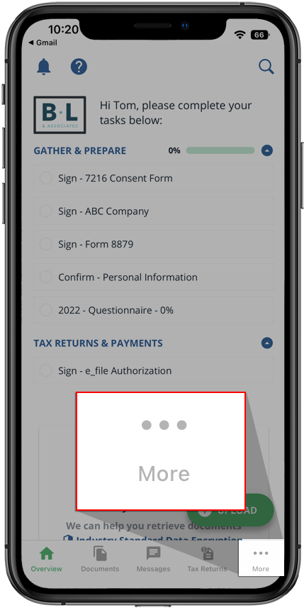 More option from the navigation bar