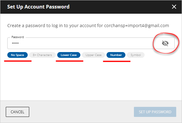Set Up Account Password Bad Password.png