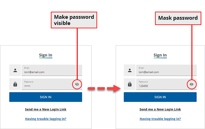 Mask Password.png