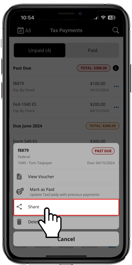 Share payment.png