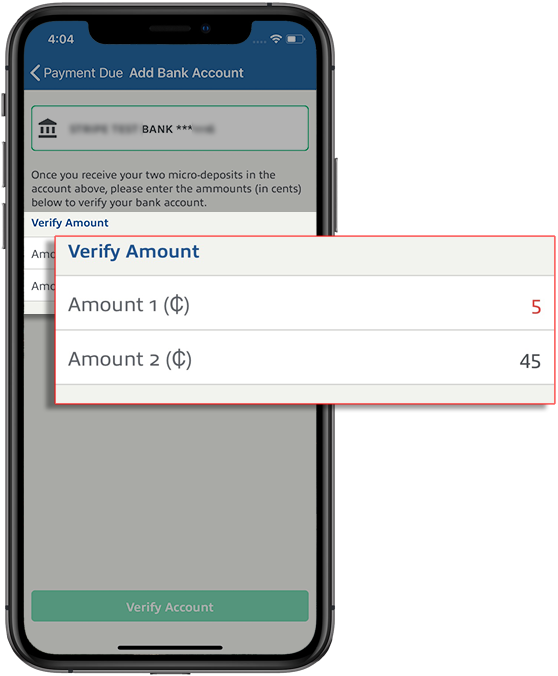 19_-_Verify_Amount.png