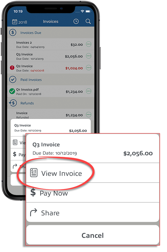 View_Invoice.png