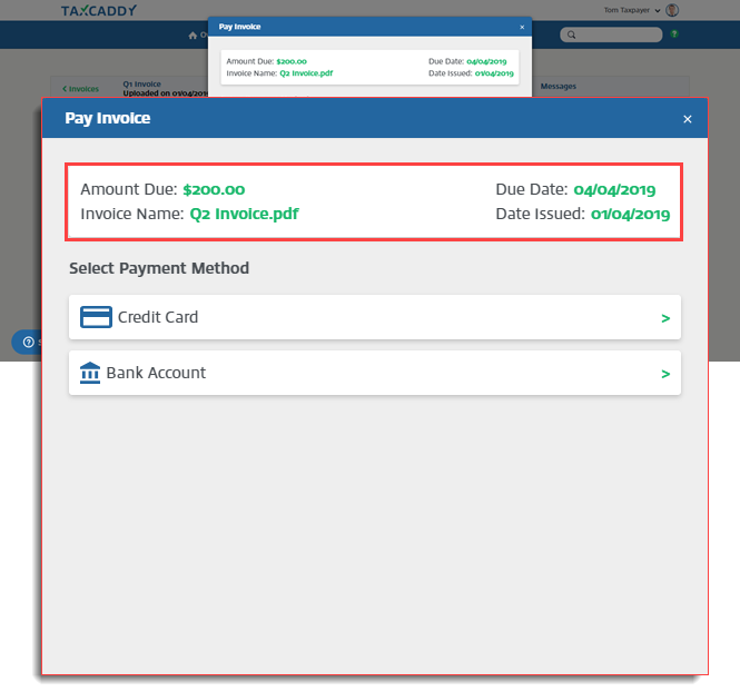 Review_Invoice.png
