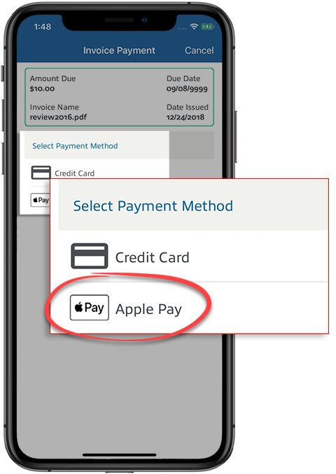 32a_-Apple_Pay.png