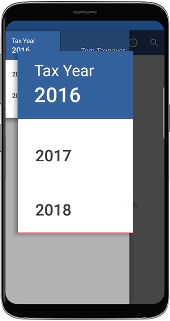 03_Tax_Year.png