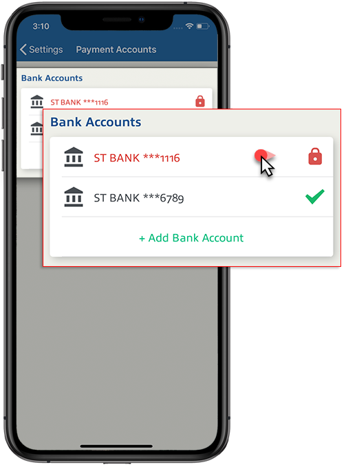 03_-_Bank_Accounts_-_v2.png