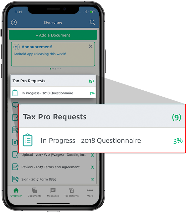 07_-_Tax_Pro_Request_-_Questionnaire.png