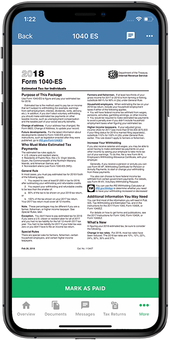 Tax_Payment_Voucher_on_the_Document_Viewer.png