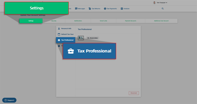 Settings_-_Tax_Professional.png