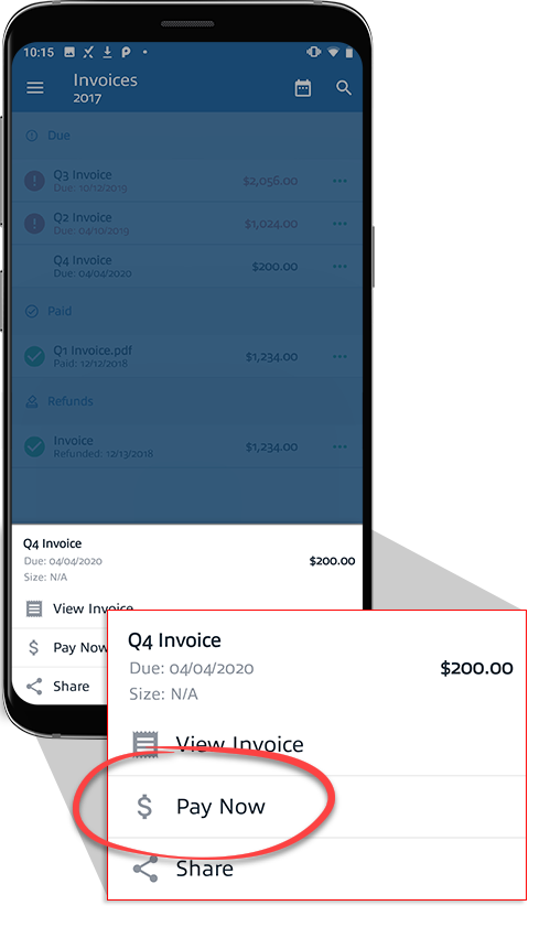 Invoice_-_Action_Sheet_Menu_-_Pay_Now.png